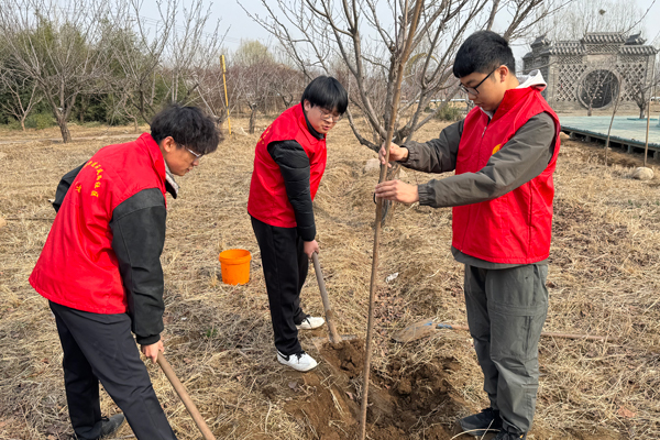 七分公司开展植树节主题系列活动